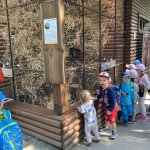phoca_thumb_m_vlet km 1 Fotogalerie